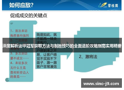 深度解析法甲冠军获取方法与制胜技巧的全面进阶攻略指南实用精要