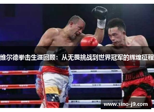 维尔德拳击生涯回顾：从无畏挑战到世界冠军的辉煌征程