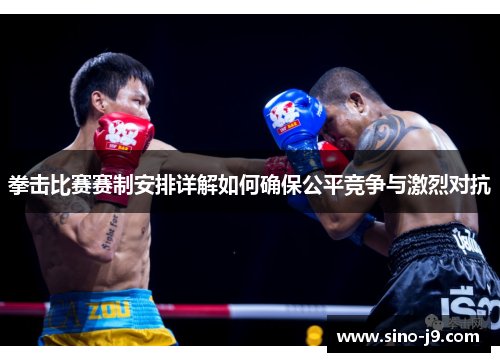拳击比赛赛制安排详解如何确保公平竞争与激烈对抗