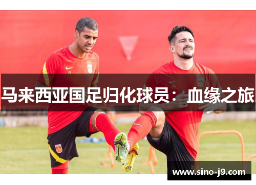 马来西亚国足归化球员:血缘之旅 马来西亚国足归化球员:血缘之旅