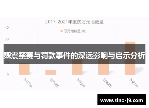 魏震禁赛与罚款事件的深远影响与启示分析 魏震禁赛与罚款事件的深远影响与启示分析